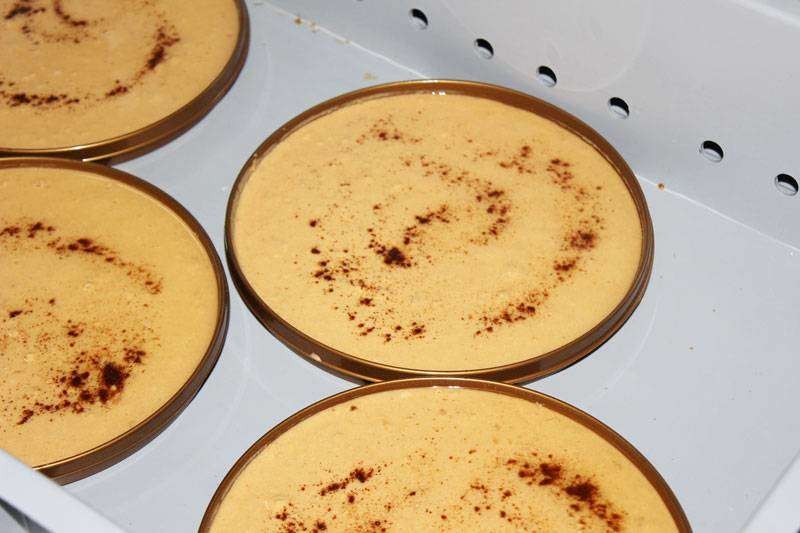 Torta de turrón de Jijona