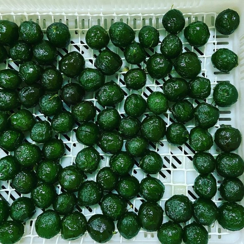 ciruela glaseada