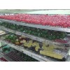 Comprar fruta glaseada a granel